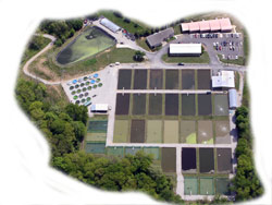 Aerial photo of aquaculture research center