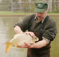 Dr. Gomelsky and Koi