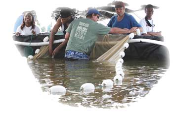 staff and students net fish in tank