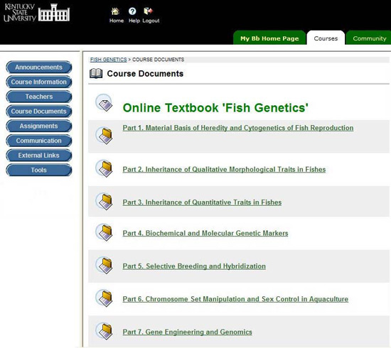 Online Course Catalog